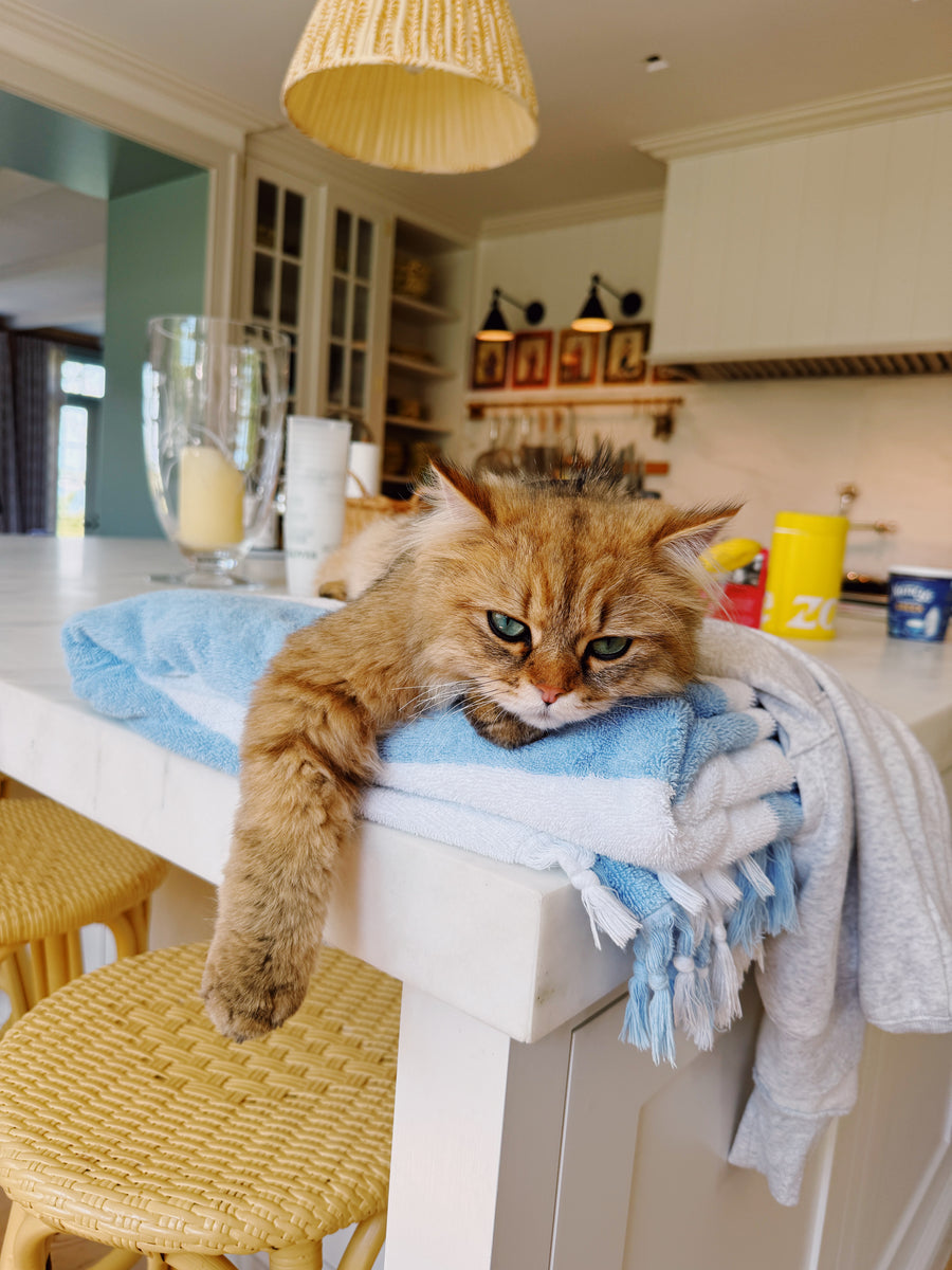 Hector, being unhelpful.