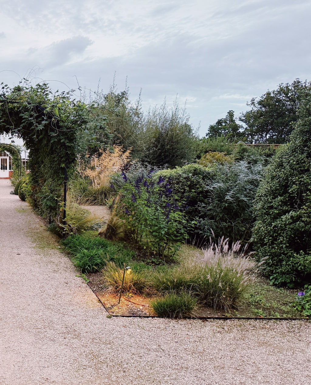A long path through the planted borders