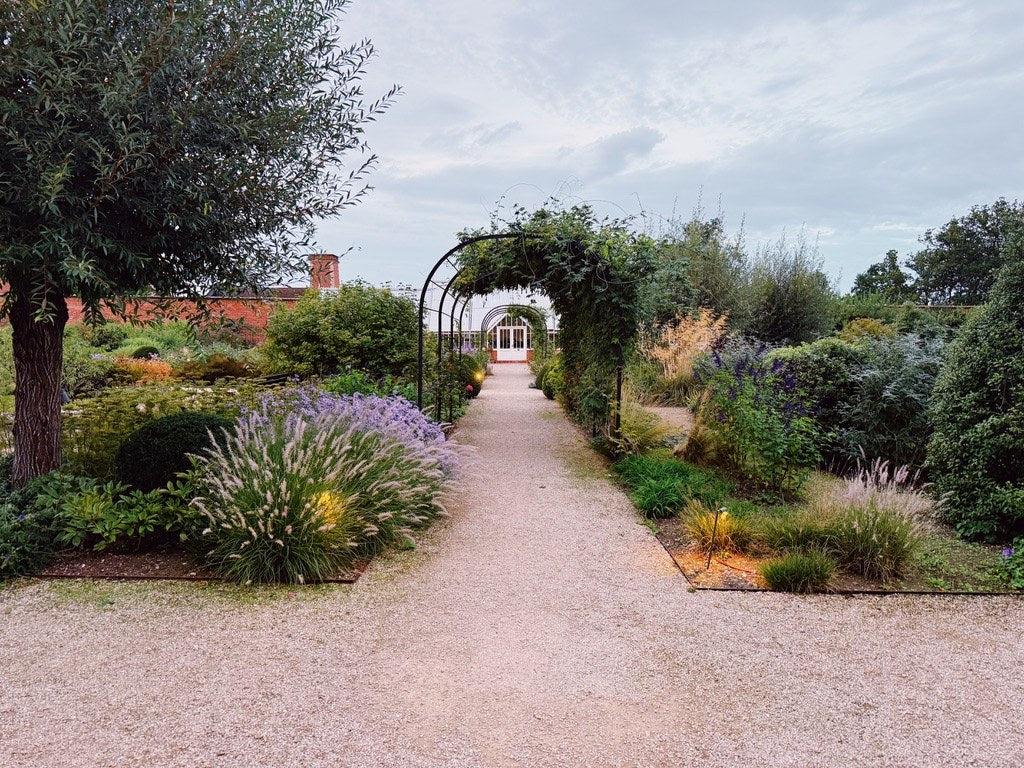 The garden path under an arch of trees, lavender along the edges